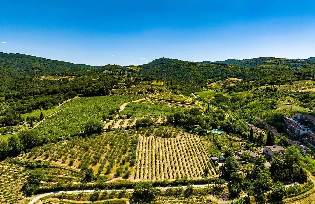 Podere Campriano Winery Adult Only-1